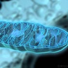 22 things to try when "biohacking isn't working"