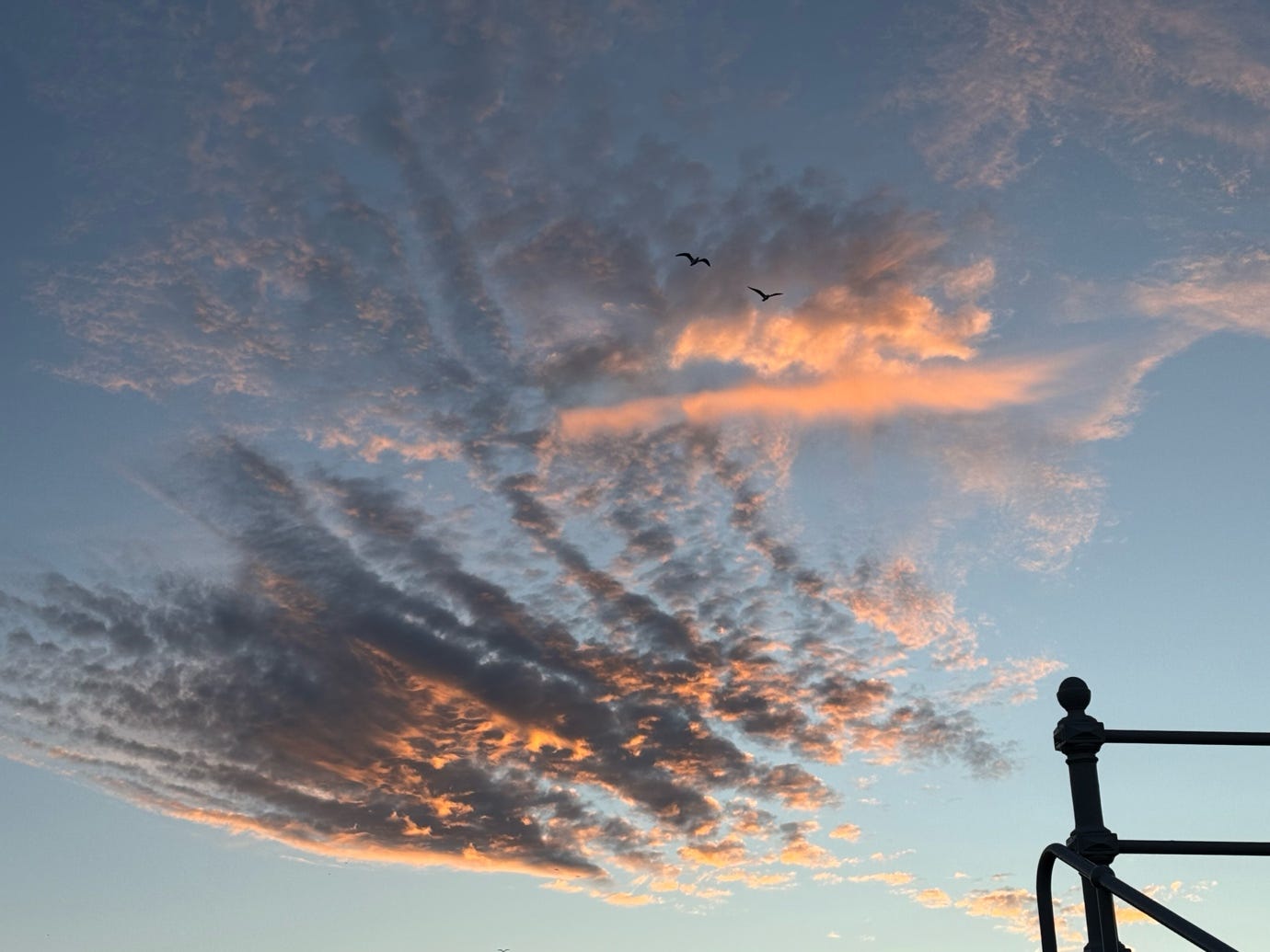 Birds flying in the sky

AI-generated content may be incorrect.