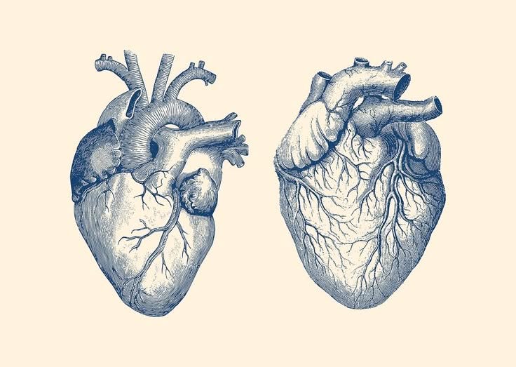 This may contain: two human heart's are shown in blue ink on a white background with the words,