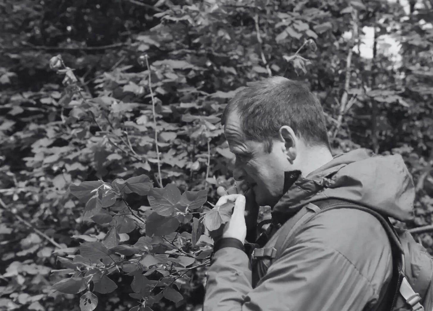 Robin Harford Robin Harford