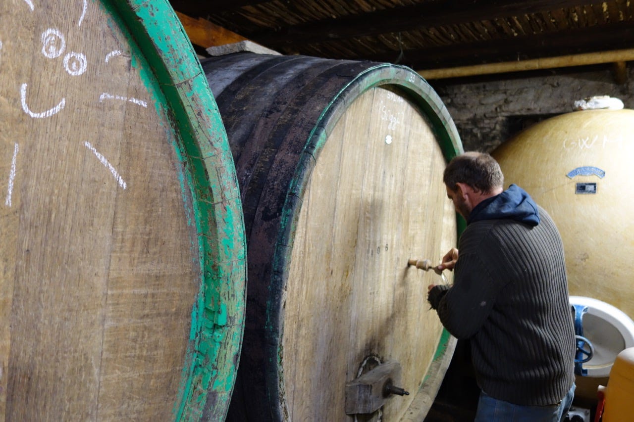 jean marc dreyer rosheim wine alsace foudres