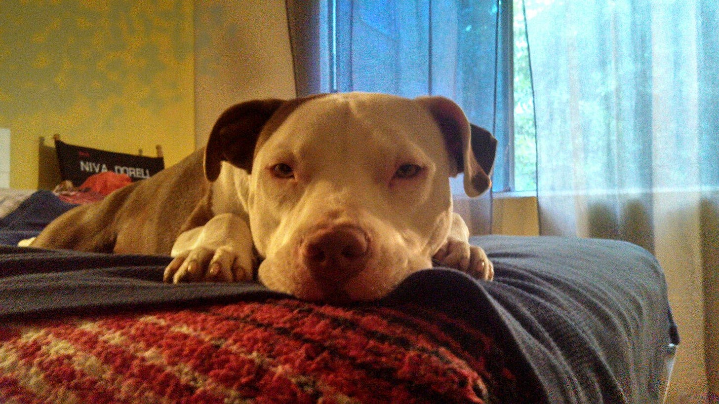 Ruby in the morning Ruby in the morning