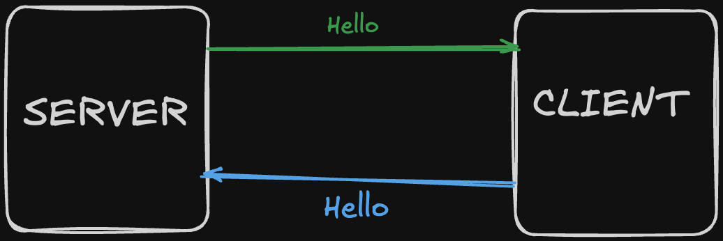 image showing client sends "hello" to server and server sending "hello" back to the client image showing client sends "hello" to server and server sending "hello" back to the client