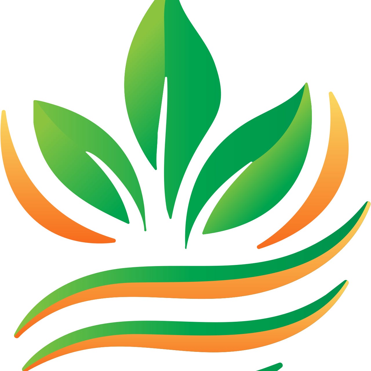 Cuida Tu Fuego: Dile Sí a la Vida