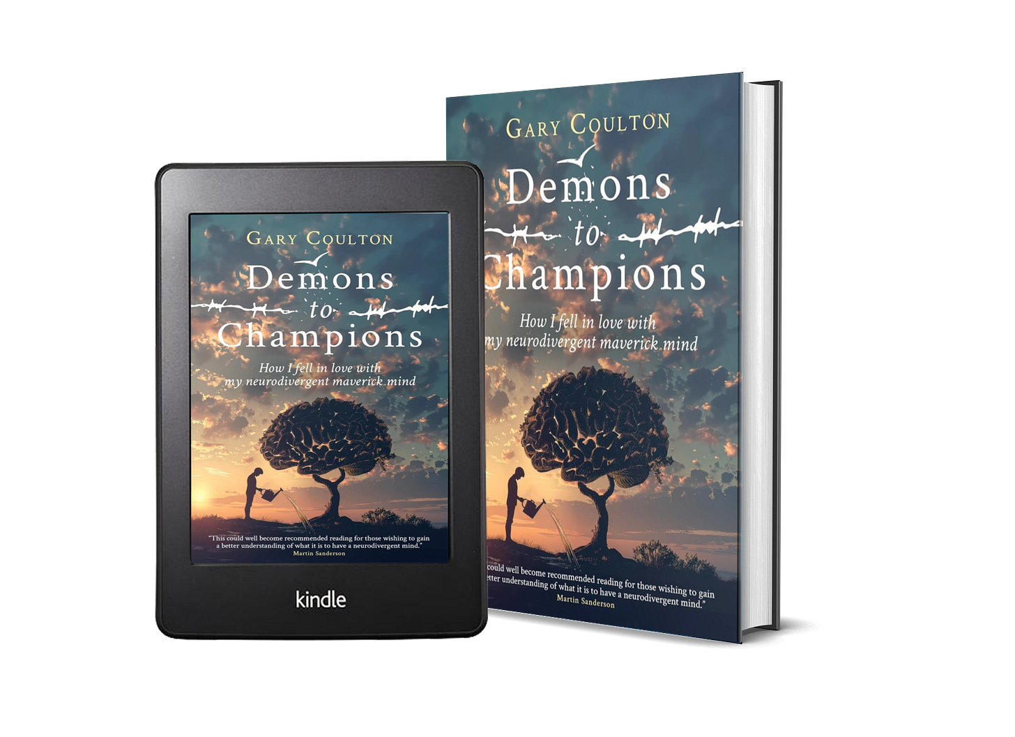 Demons to Champions book covers