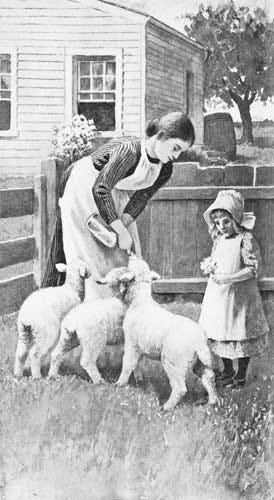 FEEDING THE LAMBS