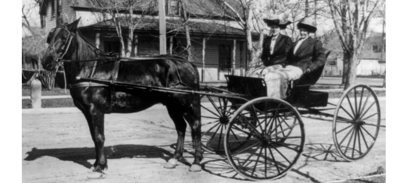 image 6.png image 6.png