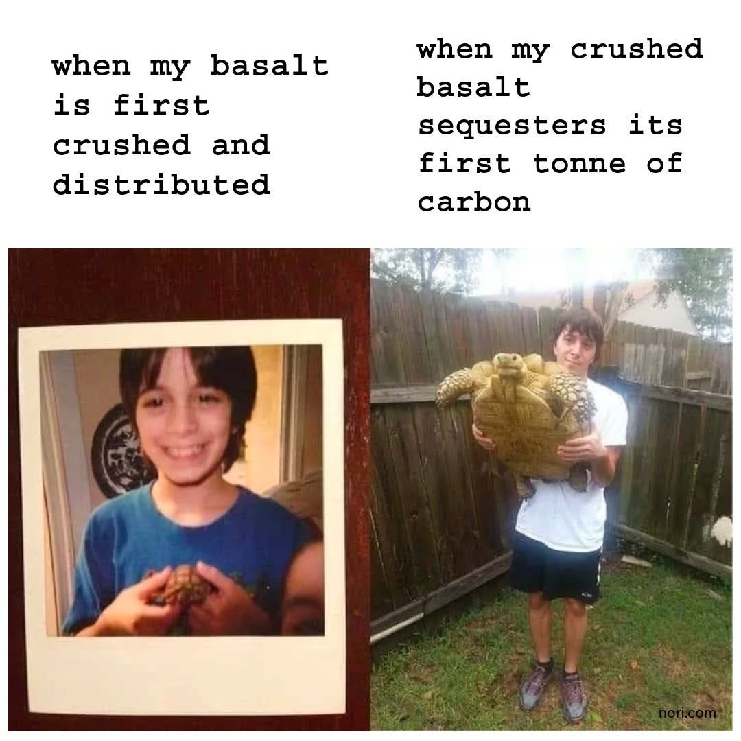 Two photos. Left, a young boy holding a tiny tortoise, labelled "when my basalt is first crushed and distributed". Right, the same boy as a teenager holding a very large tortoise, labelled "when my crushed basalt sequesters its first tonne of carbon".