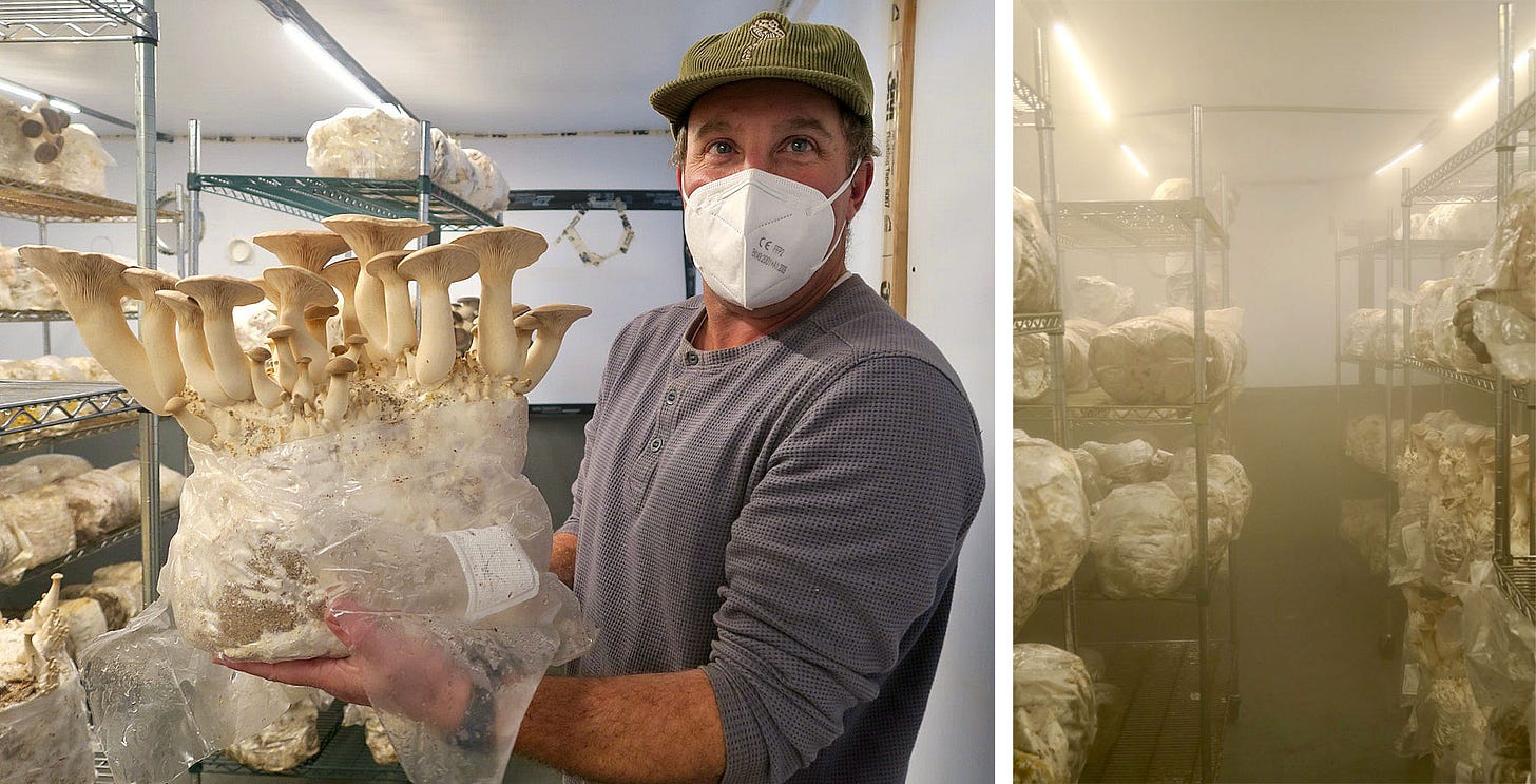 A person wearing a mask and holding a bag of mushrooms

Description automatically generated