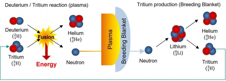 Tritium: a challenging fuel for fusion – Fusion 4 Freedom