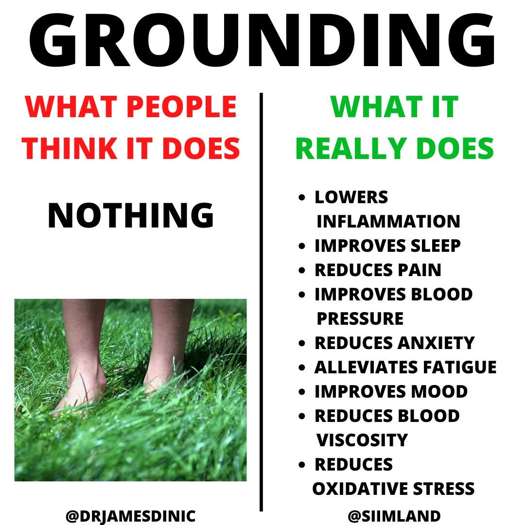 Your physical and mental health are connected to the earth more than you  think. Grounding or being directly connected to the Earth's magnetic field  has been seen to have some interesting benefits