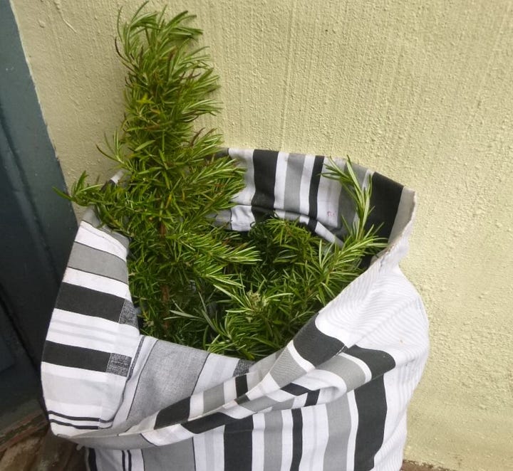 Various containers for harvest of leafy stems from wicker basket to carrier bag and stripey or pink pillowcases