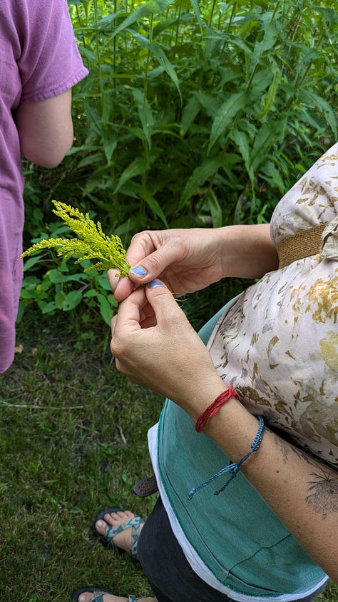 flower pounding prints using a variety of flowers