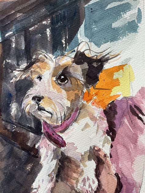 Photo’s of sketchbook pages and places at Lynmouth and Valley of the Rocks