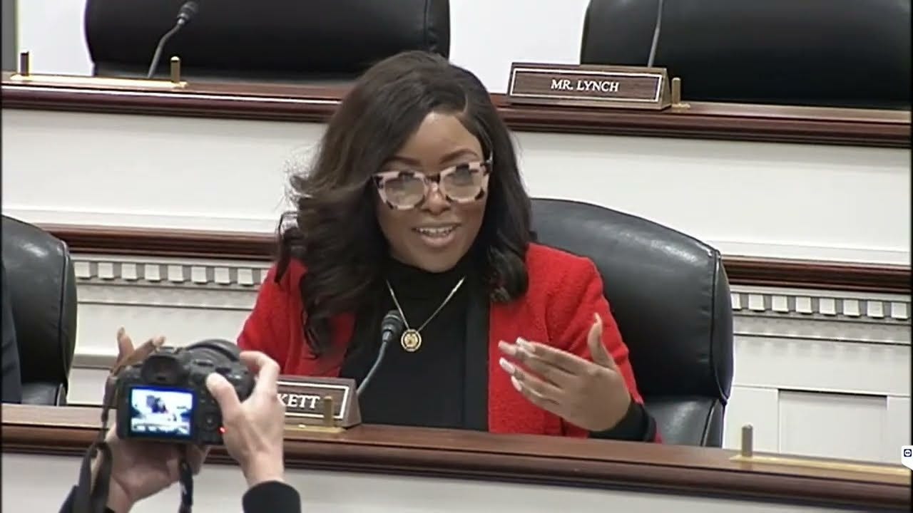 Jasmine Crockett calls out Marjorie Taylor Greene, Elon Musk during DOGE  subcommittee hearing