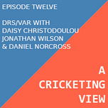 A Cricketing View