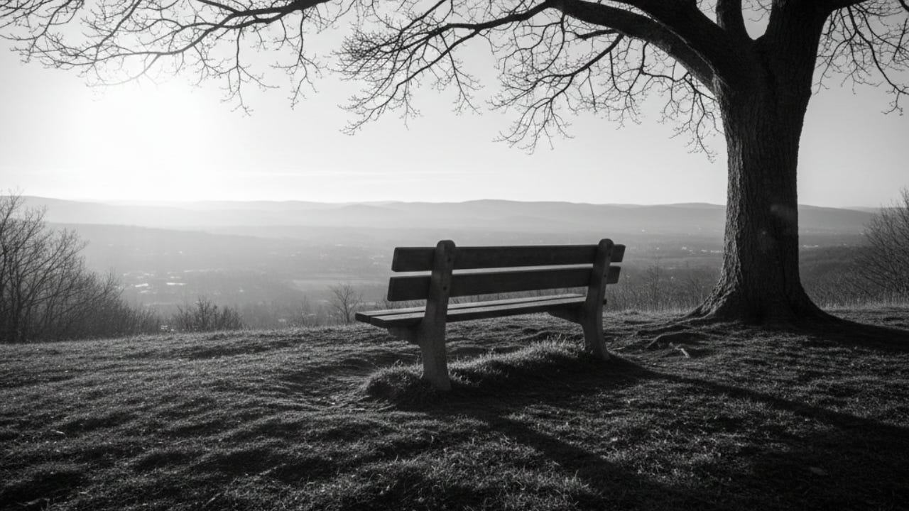 A stark, cinematic black-and-white landscape featuring an empty park bench positioned under a sprawling, leafless tree overlooking a vast, misty valley at sunrise.