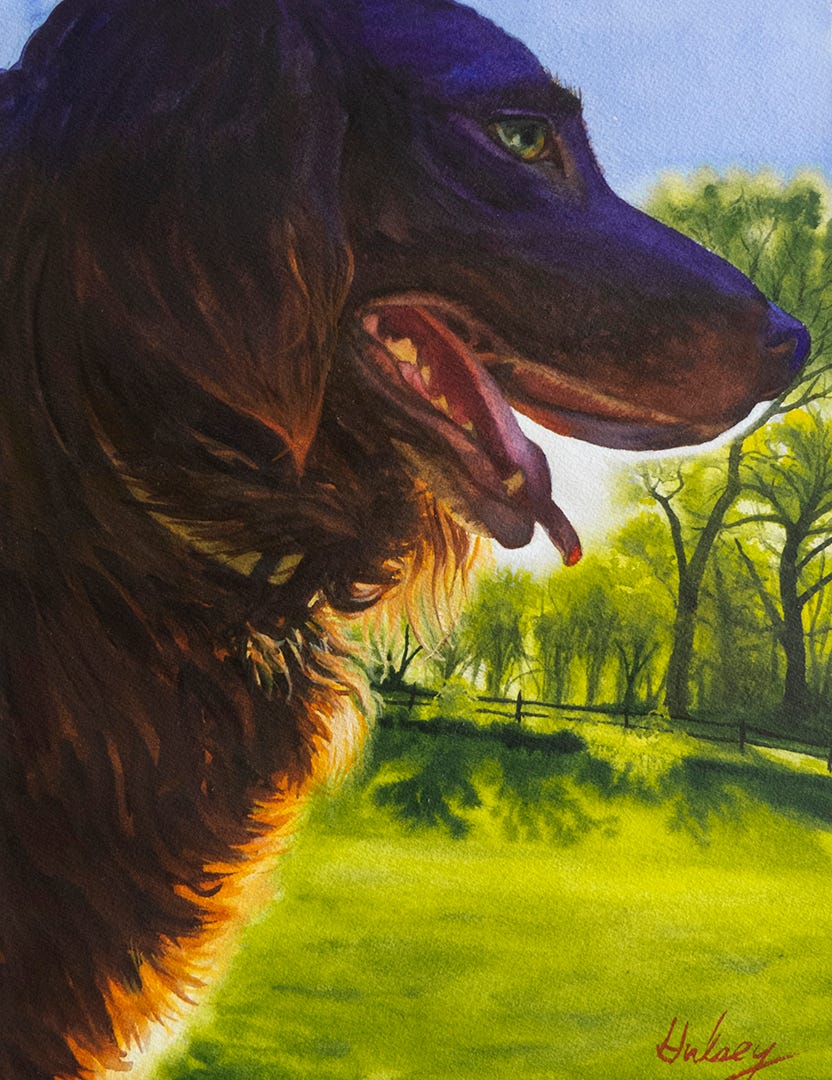 Oliver Romeo, Watercolor, 16 x 12", © J. Hulsey