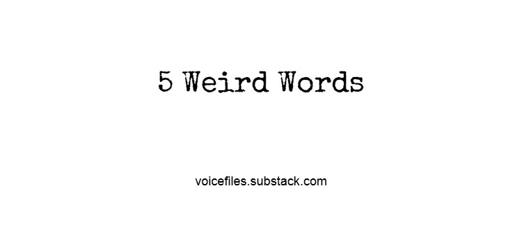 5 Weird Words