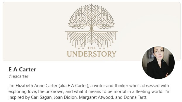 What Is Your Why? - by E A Carter