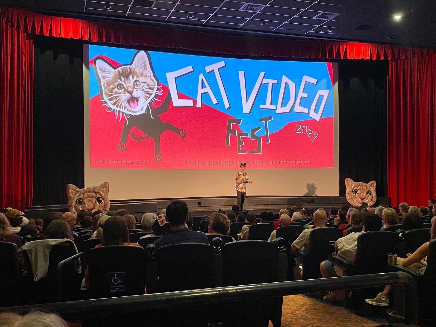 An auditorium of people facing a stage with a screen reading "Cat Video Fest." Cat heads on either side of a speaker on stage which is framed by red curtains.