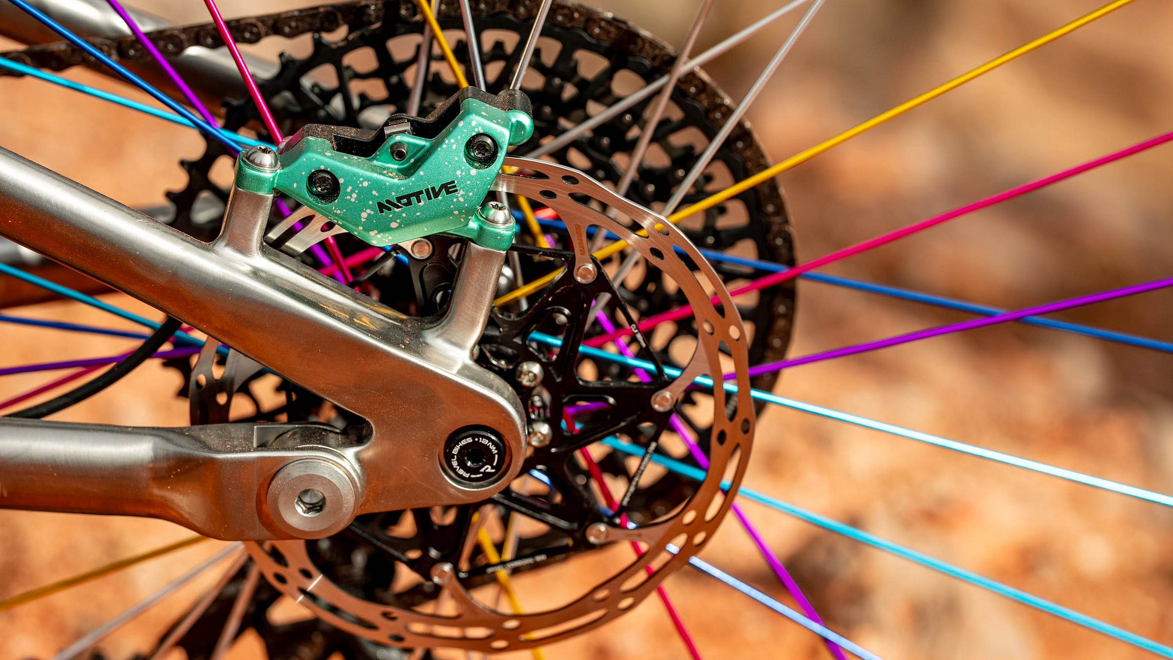 Revel Bikes Project RaTical rear dropout