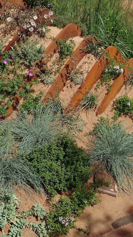 Sculpted sand with lots of resilient plants