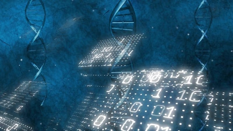 The Infectious Disease Frenzy