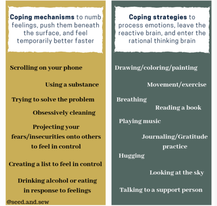 Approach Coping Dealing with Emotions - by Lorraine Falchi