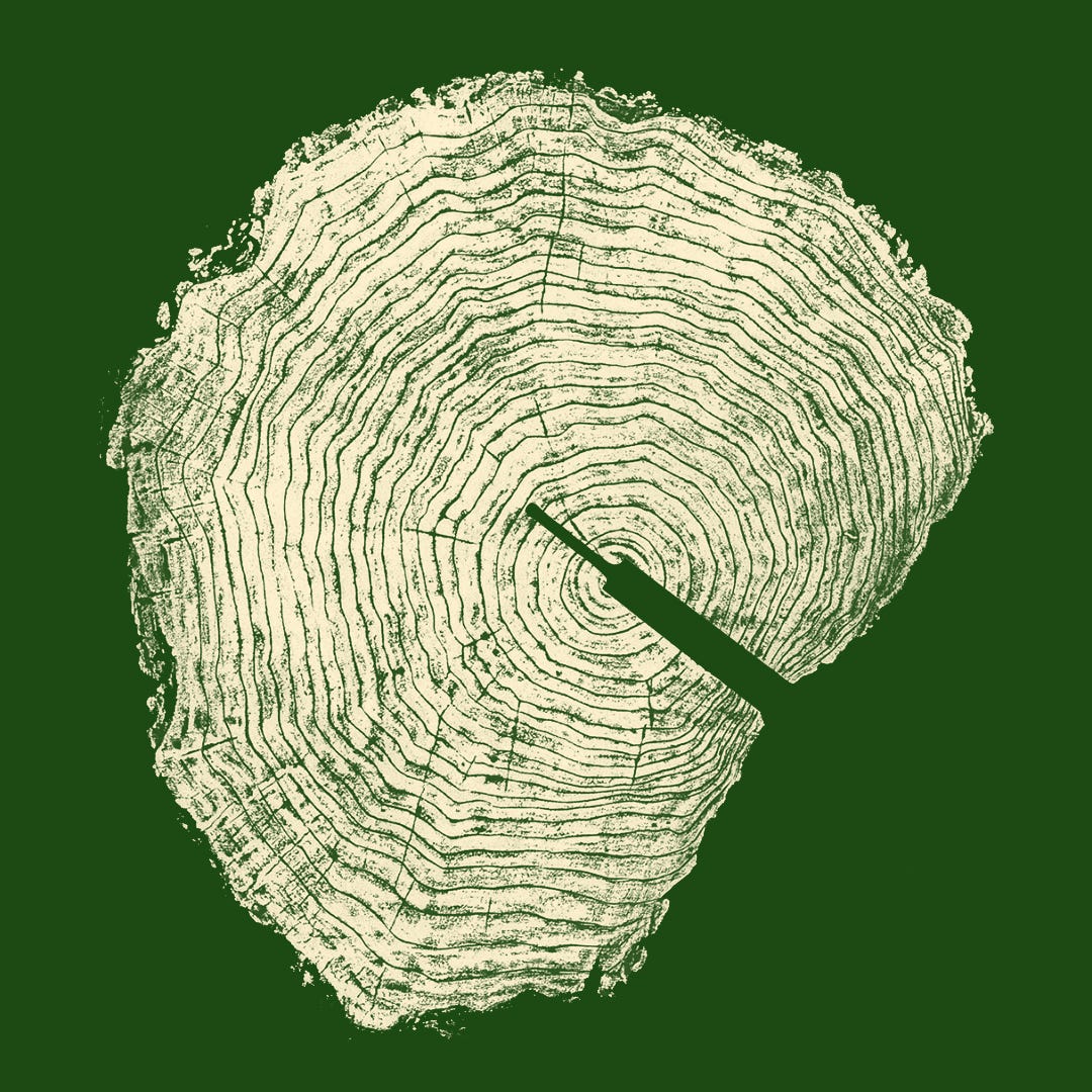 Arrangements of White on Green