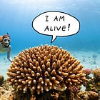 Research on Comics Reveals How We Perceive What Is Alive