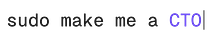 Sudo Make Me a CTO