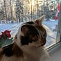 Charlene Arseneau Reid's avatar