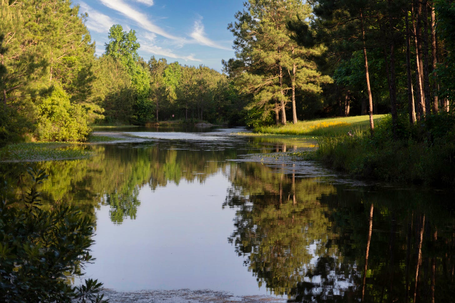 Small pond with trees on either side reflecting into the water;blue sky and thin white clouds in the background
