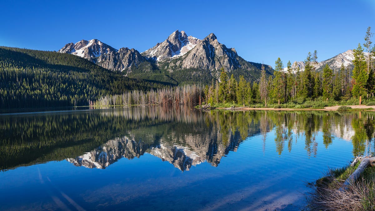 Why We Can’t Restore Nature by Recreating the Past