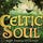 Celtic Soul with Treacy O'Connor