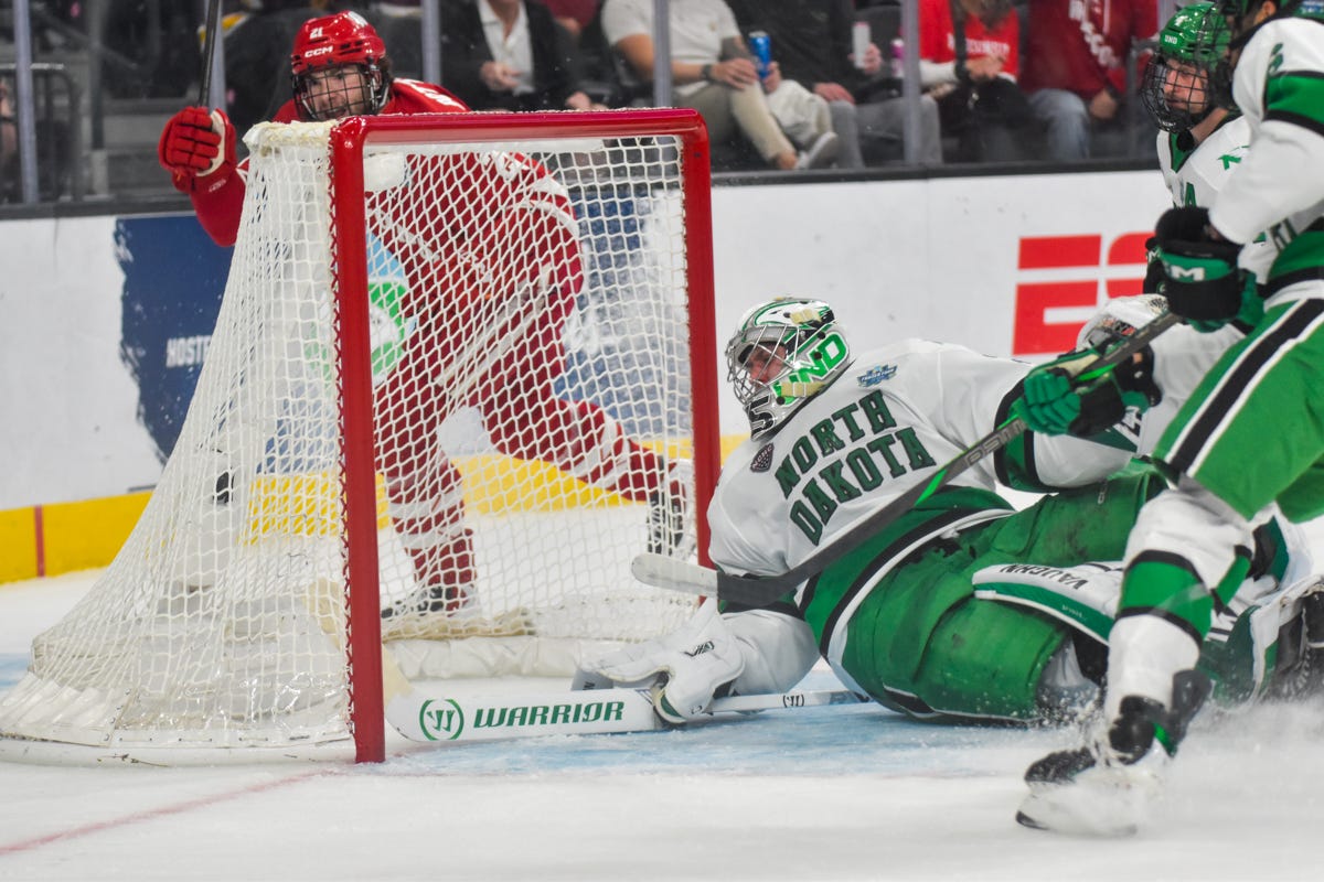 Jan Špunar lays across the crease with his stick toward the goal as Botterrill skates behind the net in celebration. Jan Špunar lays across the crease with his stick toward the goal as Botterrill skates behind the net in celebration.