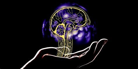 What is Organoid Intelligence? - Profolus