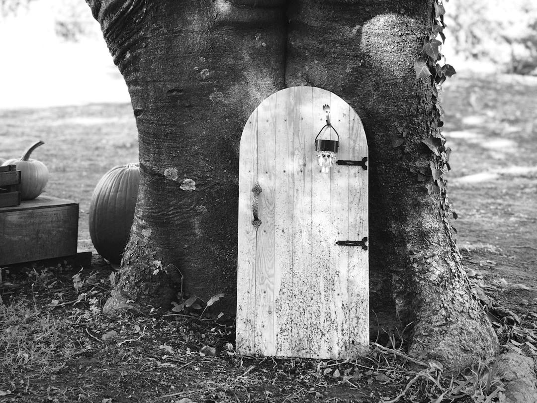 a tree with a door in the trunk of it