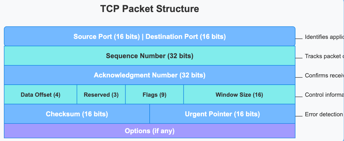 Understanding Network Protocols: HTTP, TCP/IP, UDP