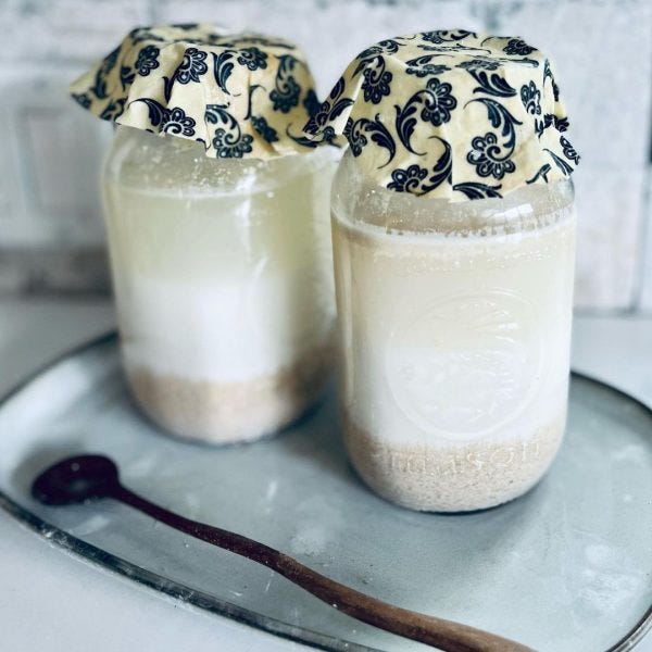 two jars of fermenting sowans, oats are thickest at bottom and watery at top. Jars are covered with waex cloth, there is a wooden spoon in the foreground. 