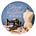 從線說起 Thread to Trend's avatar