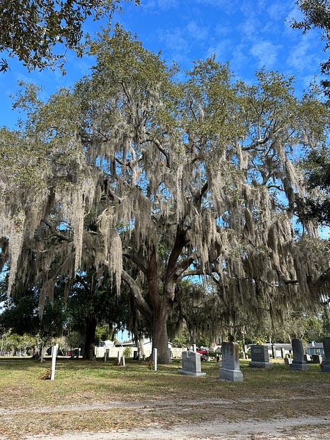 A gallery of our 2025 adventures