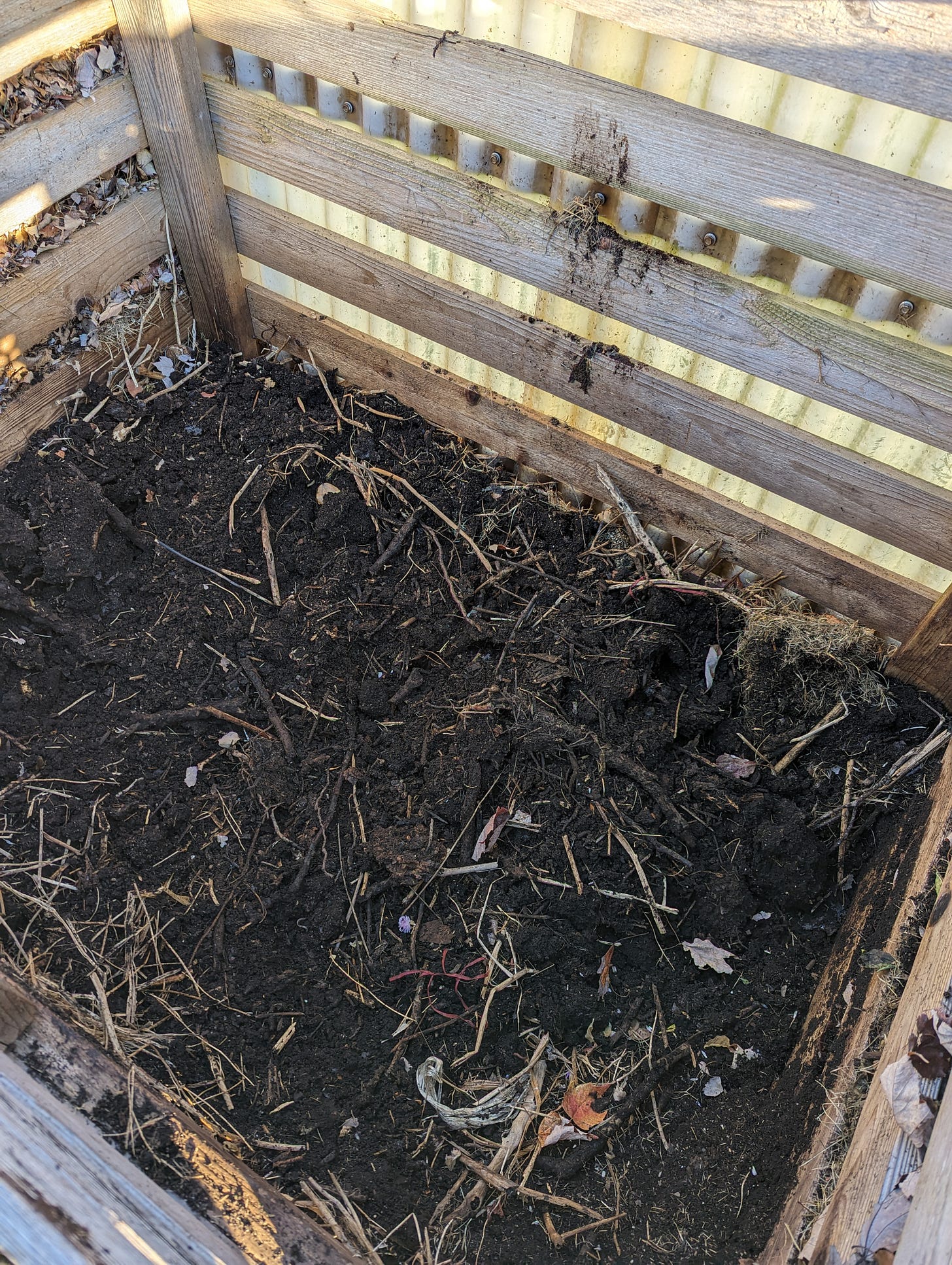 Mostly finished compost sits inside a wooden compost structure.  The compost is very dark brown and mostly consists of unidentifiable material with a few sticks, stems, and bits of debris that will be sifted out.