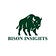 Bison Insights