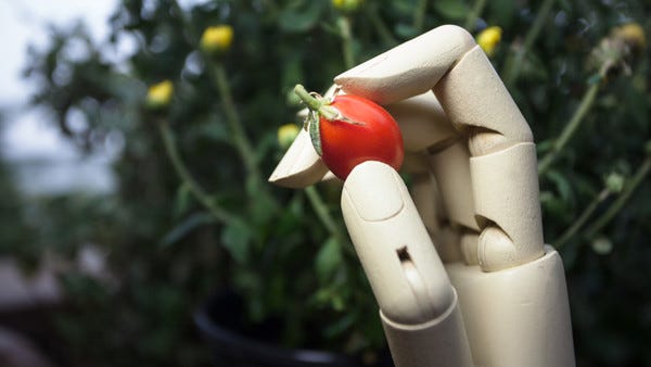 Máquinas Aprendendo A Criar Sabores Máquinas Aprendendo A Criar Sabores