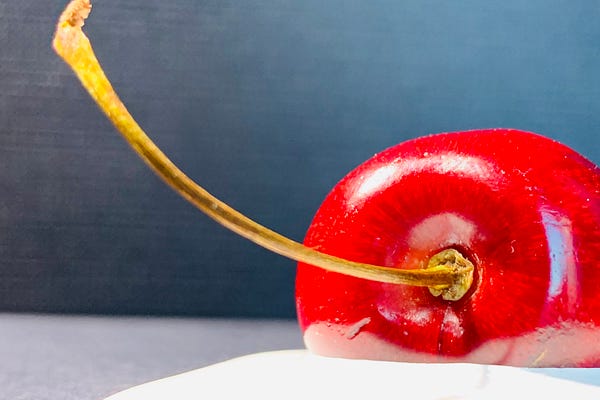 The Dill Pickle | Jennifer Sullivan | Substack