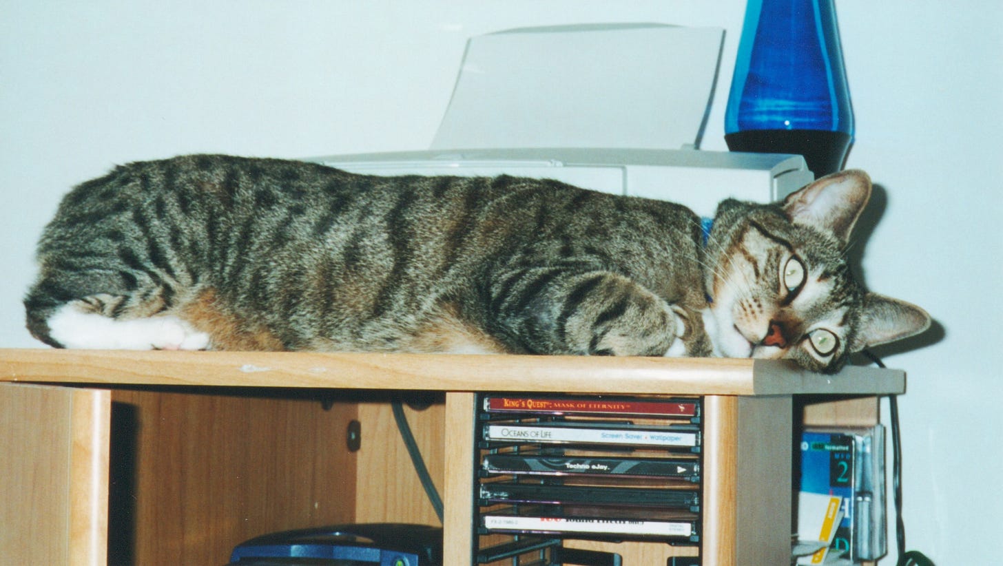 A cat with green eyes and striped gray and black fur, is lying on top of a desk with a printer behind him.