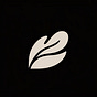 Brain Scroll's avatar