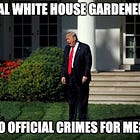 Convicted Felon Excited To Commit More Felonies